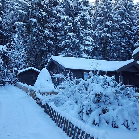 Waldsee-Ferienhaus-Mit-Kamin-W-Lan Clausthal-Zellerfeld Eksteriør bilde