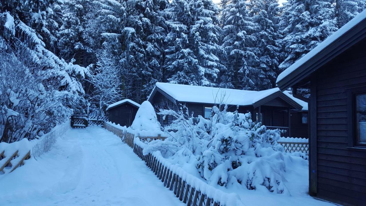 Waldsee-Ferienhaus-Mit-Kamin-W-Lan Clausthal-Zellerfeld Eksteriør bilde