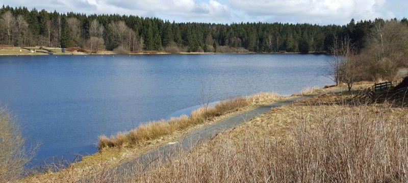 Waldsee-Ferienhaus-Mit-Kamin-W-Lan Clausthal-Zellerfeld Eksteriør bilde