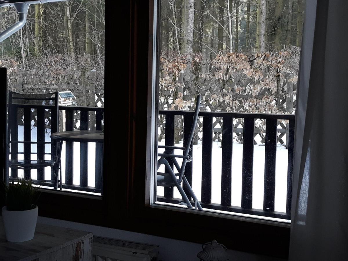 Waldsee-Ferienhaus-Mit-Kamin-W-Lan Clausthal-Zellerfeld Eksteriør bilde